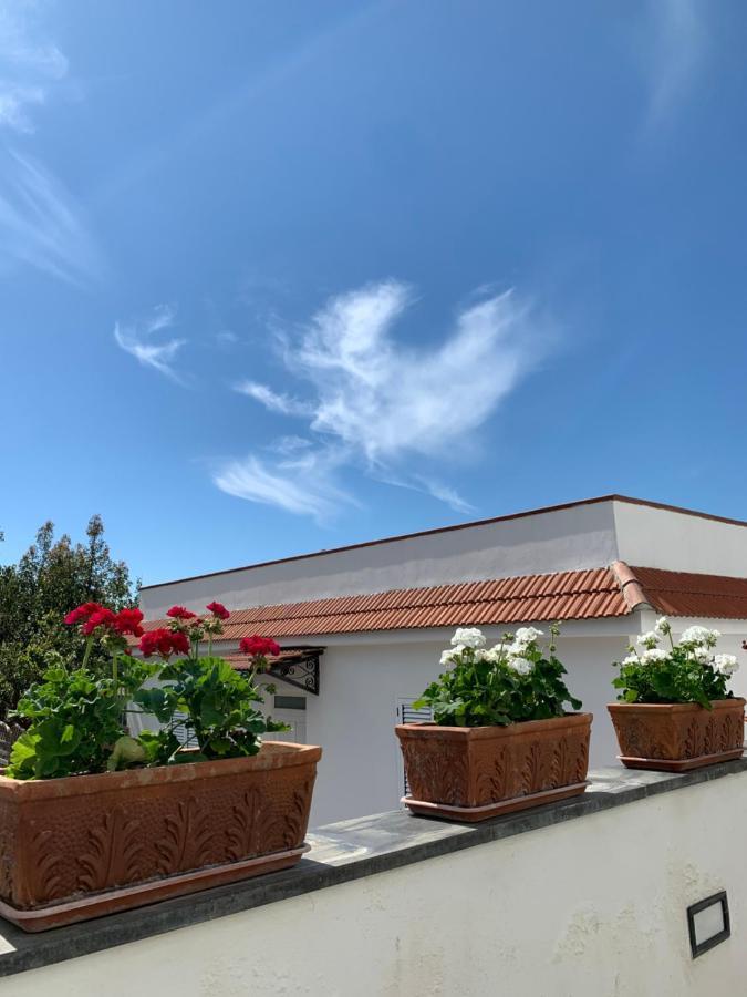 La Casa Del Sole * Vico Equense