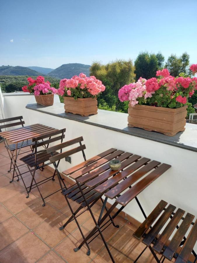 La Casa Del Sole Bed & Breakfast Vico Equense