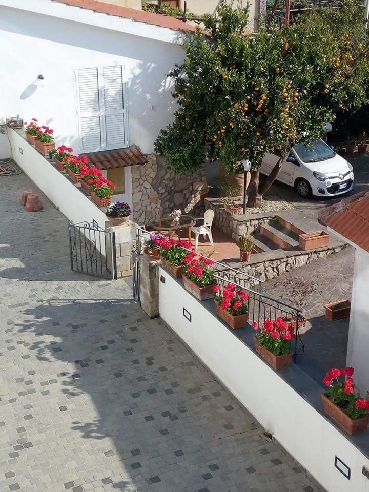 La Casa Del Sole Bed & Breakfast